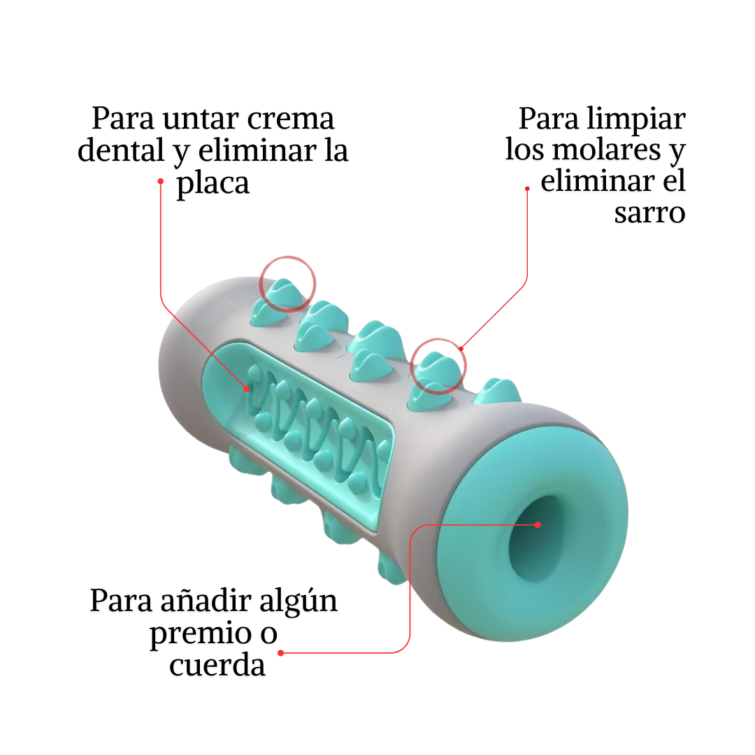 DentiCool 360° : Mâche, nettoie et divertit